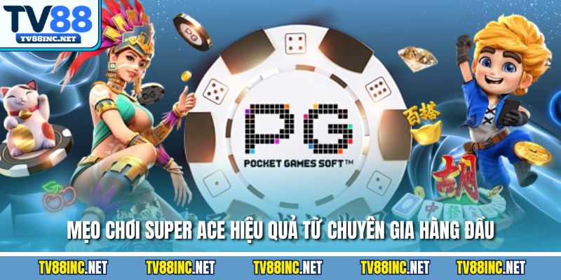 Mẹo chơi super ACE hiệu quả từ chuyên gia hàng đầu